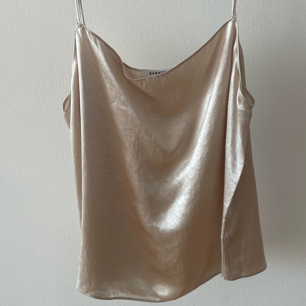 Aritzia Babaton Silk Camisole